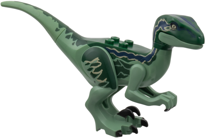 Dinosaur Raptor / Velociraptor with Dark Green Back and Dark Blue Markings (Jurassic World Blue)